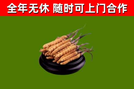 竹溪烟酒回收冬虫夏草.jpg